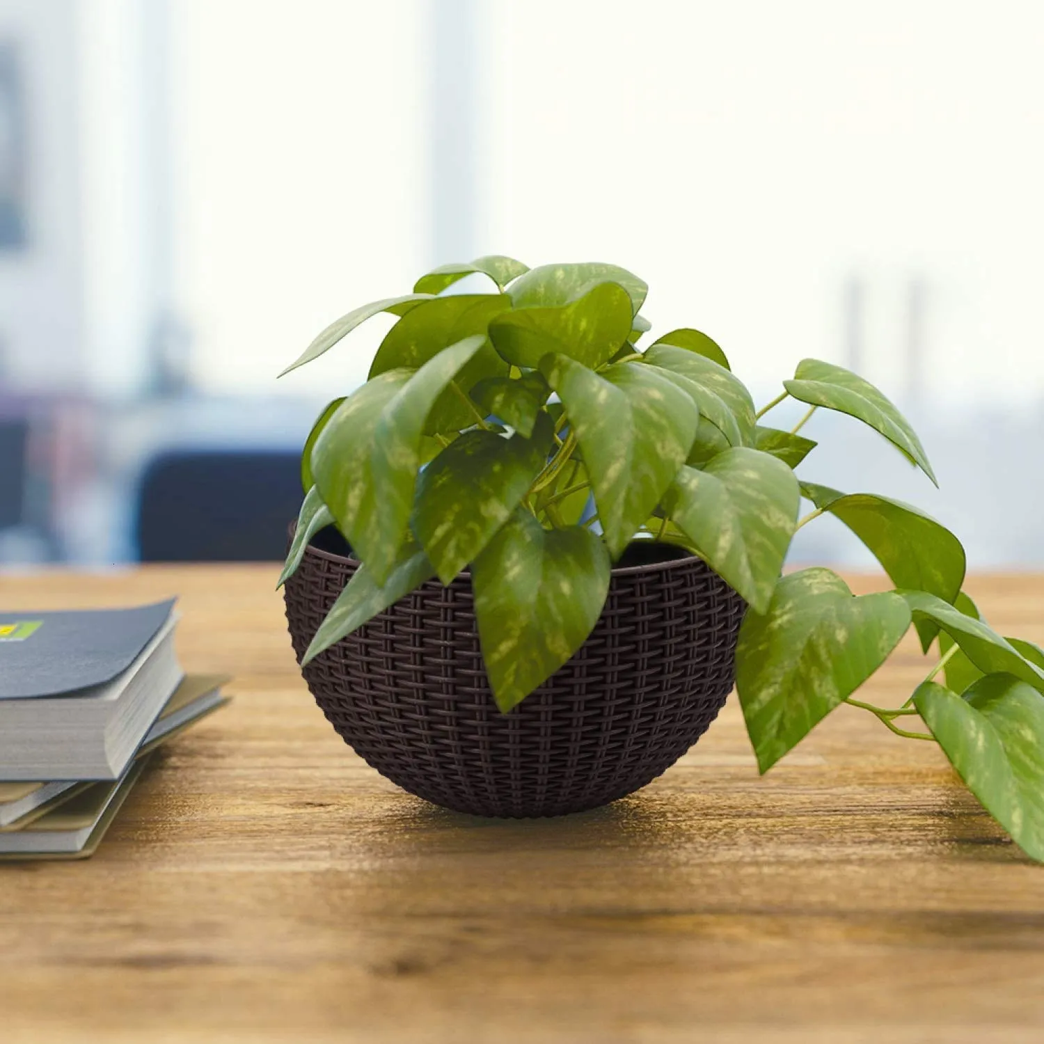 21 cm Green Rattan Hanging Planter with Chain