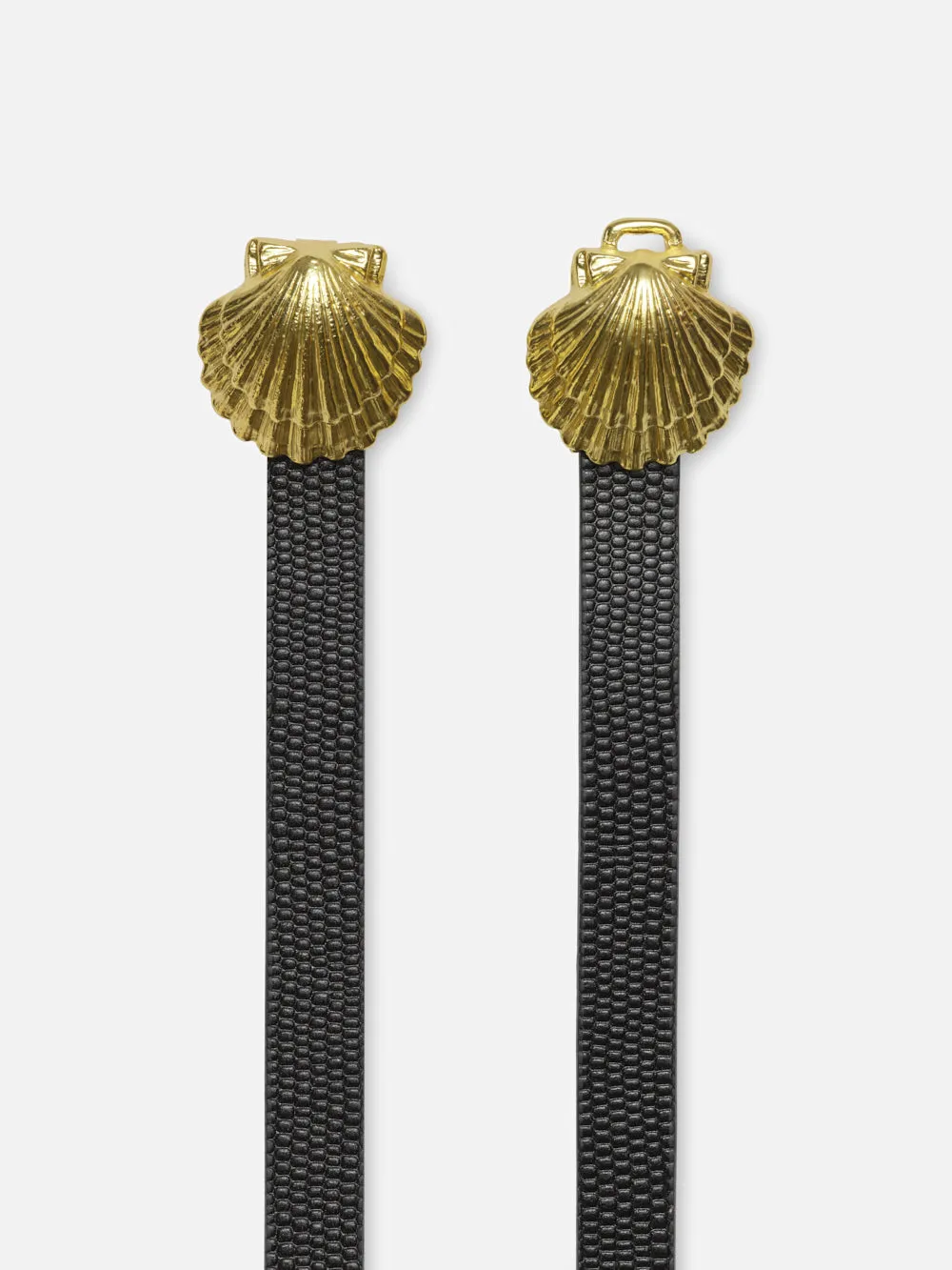 Coquillage Belt -- Black