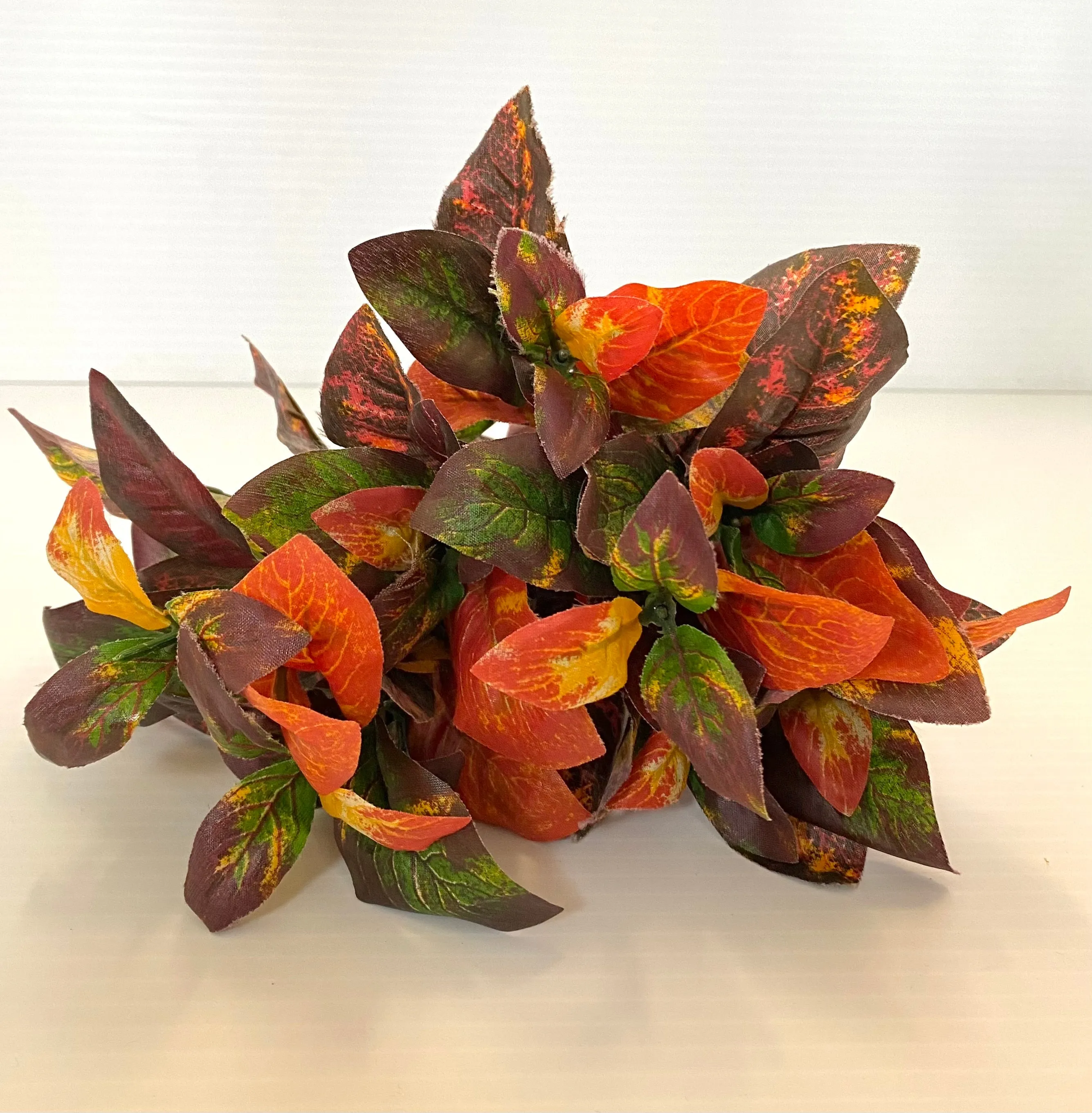 Foliage - Colorful Leaves