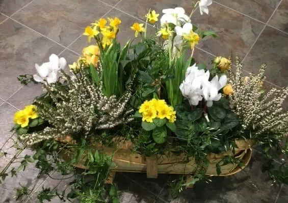 Seasonal Planter of the Day