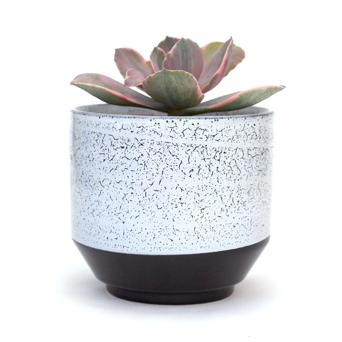 Vanna Pot (Medium)