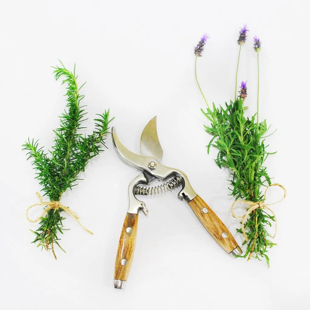 Wood Handled Secateurs